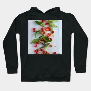 bowl with red cherries food background art Hoodie